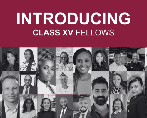 Introducing Class XV Fellows!